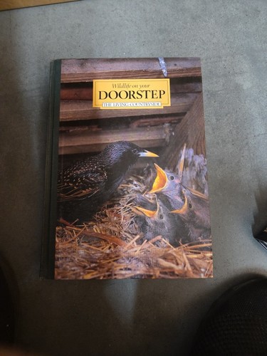 Wildlife your doorstep the - wildlife, on