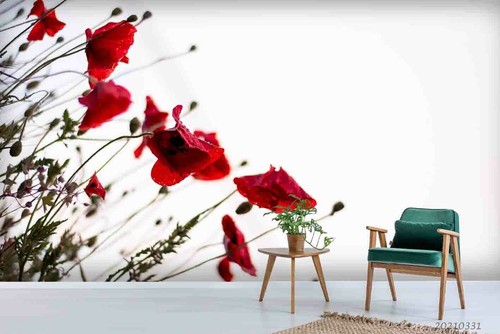 Red poppy floral - red,