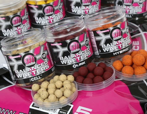 Mainline baits new balanced - mainline,