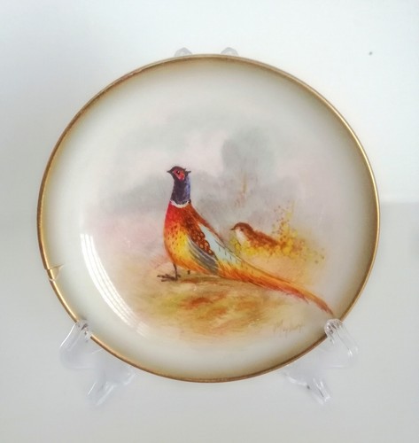 Royal worcester hand painted - hand,