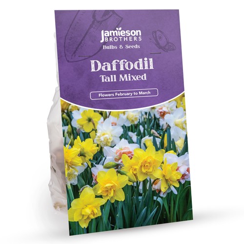 Tall mixed daffodil bulbs 20 - tall, (20