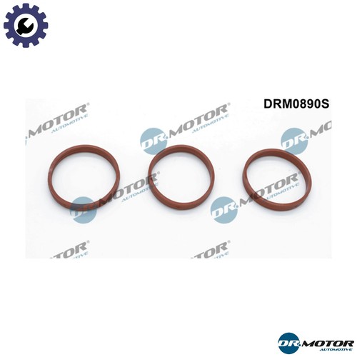 Gasket set intake - set,