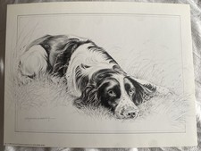 Pollyanna Pickering Dog Art