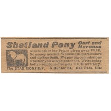 Shetland Pony Cart and Harness