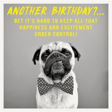 Funny Birthday Card Pug Keep