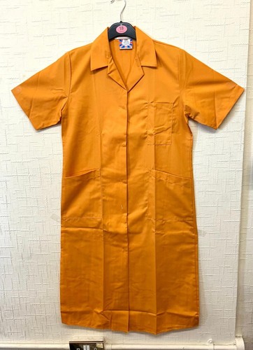 Orange standard classic lab - orange,