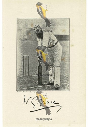 Grace cricketer book - g,