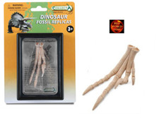 Velociraptor Dinosaur Foot