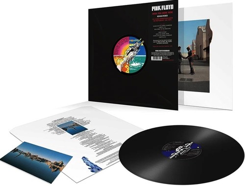 Pink floyd wish you - pink,
