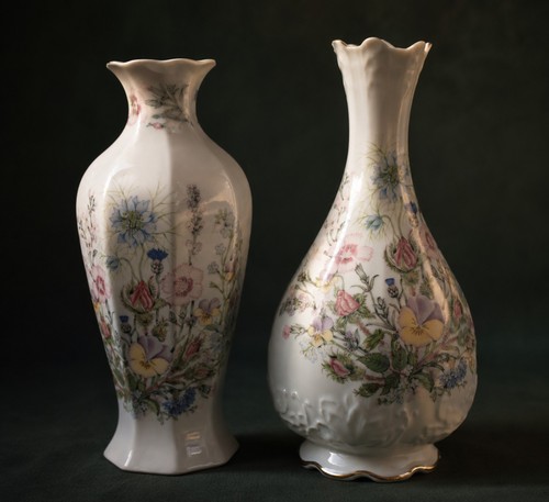 Aynsley wild tudor fine bone - wild,