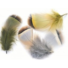 French Partridge Hackles for