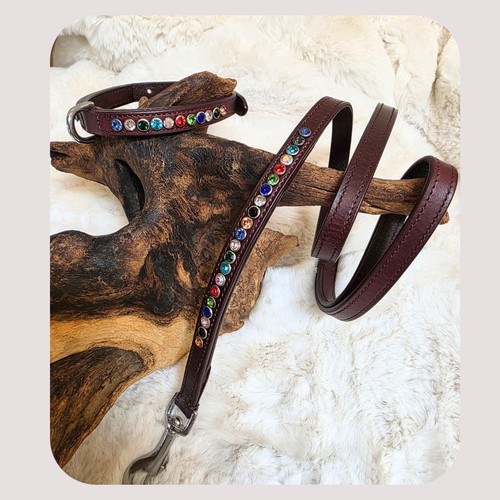 Dog collar lead - lead,