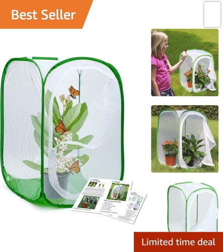 Insect butterfly habitat cage - insect,
