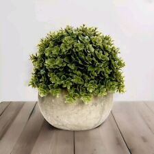 Mini Artificial Hebe Plant in