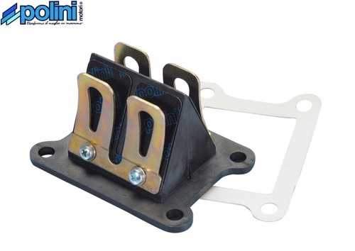 Polini gilera rcr ebs 05 - 50,