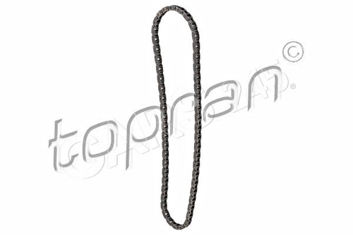 Lower timing chain - chain, bmw