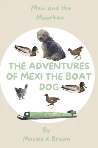 Brown adventures mexi - brown, the
