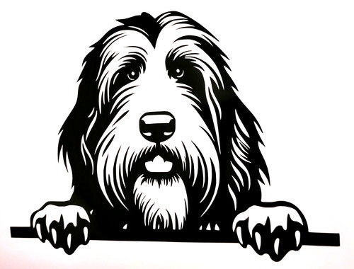 Bearded collie dog decal - 1x,