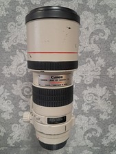 Canon EF 300mm f4 L IS USM