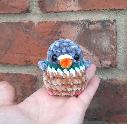 Crochet wood pigeon plushie - crochet,