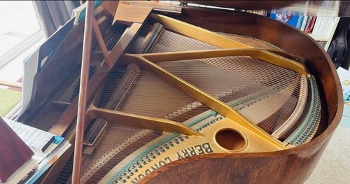 Beautiful small baby grand - small,