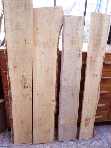 120cm western red cedar live - 120cm,