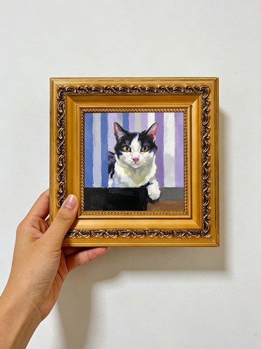 Tuxedo cat striped - tuxedo,