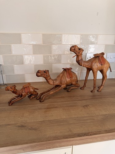 Vintage trio camels - vintage, of