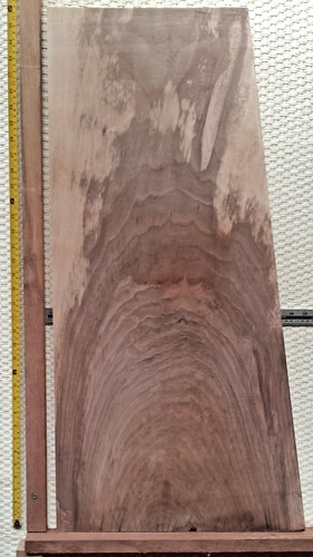 Spalted english walnut kiln - walnut,