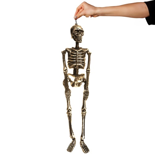 Hanging skeleton halloween - hanging,
