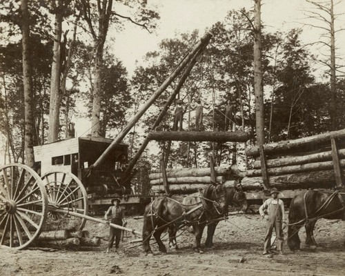 Steam loader loading logs - loading,