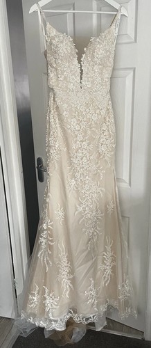 Riki dalal brand new - brand, wedding