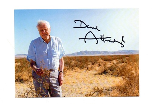 David attenborough bbc nature - bbc,