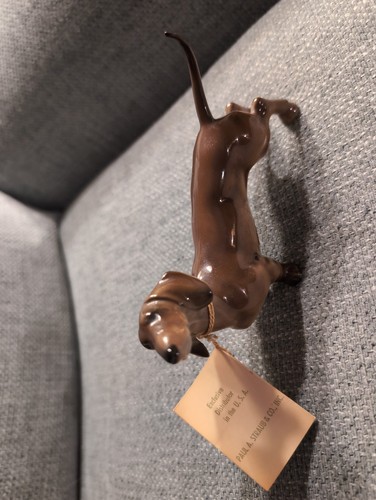 Dachshund dog extended tail