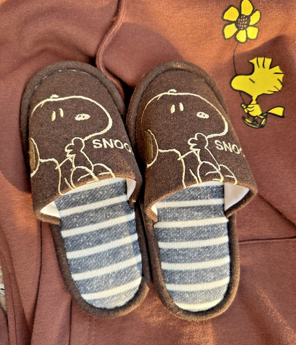 Peanuts snoopy house slippers - house,