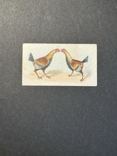 Fighting Cocks Cigarette Card (no 2)  Game Fowl