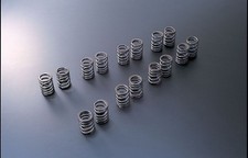 Nissan SR20DET Tomei Japan Valve Spring Set Type A 180sx Ps13 S13 S14 S15 Silvia