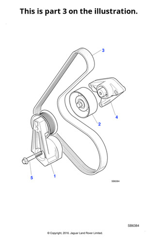 Jaguar supercharger drive belt - supercharger,
