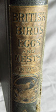 BRITISH BIRDS EGGS & NESTS
