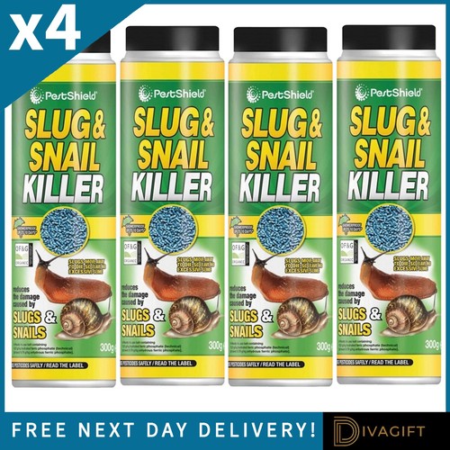 Pestshield slug snail - &,