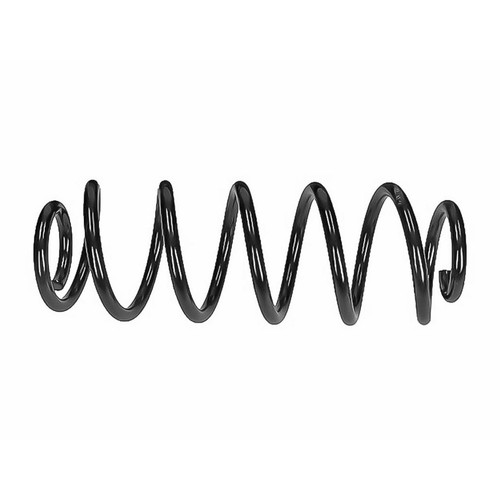 Coil springs rear - coil,