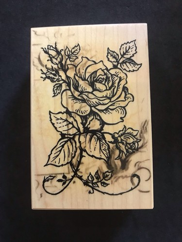 Rose flowers leaves vines - , psx