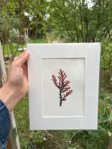 Seaweed print handmade - print-,