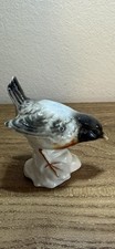 Lovely China Wren bird