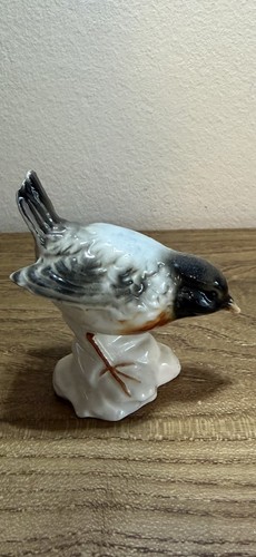 Lovely china wren bird - lovely,