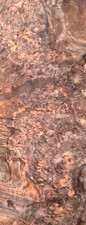 Burr/Burl Walnut Veneer  95 cm