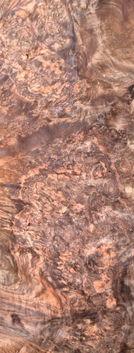 Burr burl walnut veneer - veneer, 95
