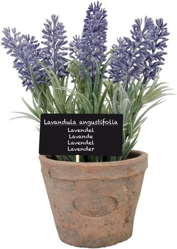 Esschert design ah010 large - esschert's,