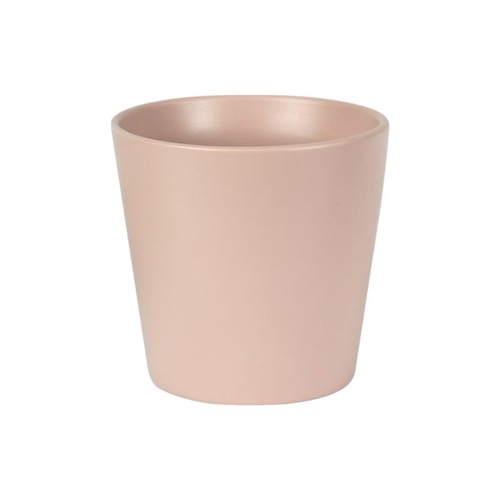 Ceramic indoor plant - indoor,