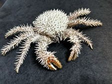 Creature Of The Deep